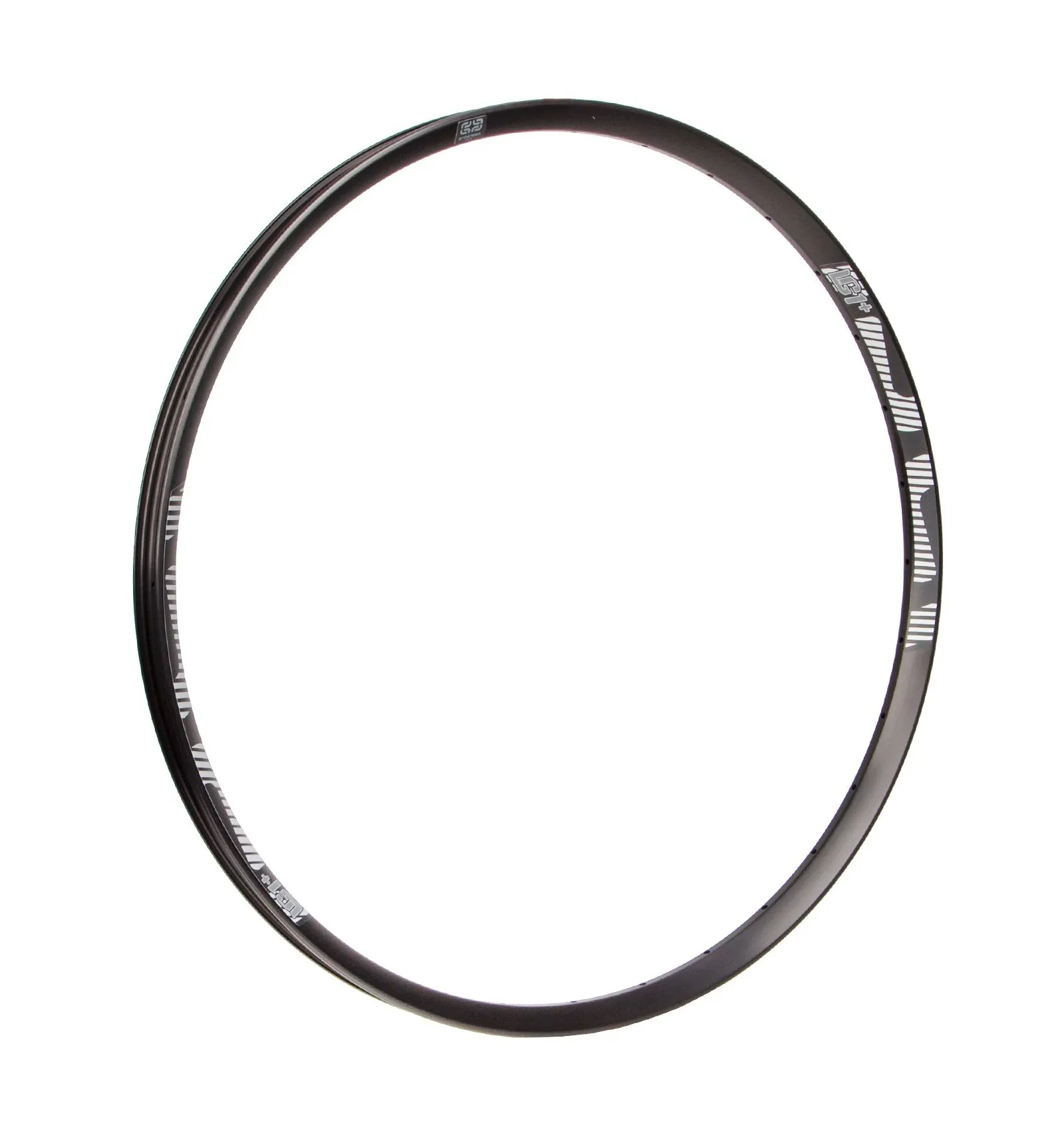 Cerchio Alluminio E*Thirteen LG1 Plus Downhill 32 Fori 30mm 29"